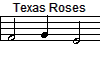 Texas Roses