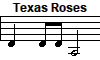Texas Roses